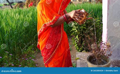 mallu tulsi all videos|Free Tulasi Stock Video Footage & B.